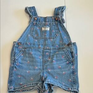 OshKosh B'gosh - Patterned Denim Overalls/shortalls, 24m
